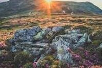 九游官方游戏中心免费下载-九游官方游戏中心，打造多样化游戏体验的免费平台