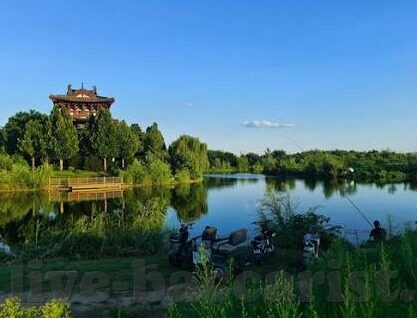围棋游戏炸金花下载-围棋游戏与炸金花，数字时代的智力竞技与娱乐新体验